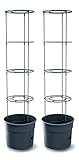 Prosperplast Tomate Grower Pflanzkübel aus Kunststoff in Anthrazit (L) x 39,2...
