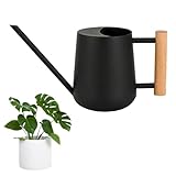 LPAMABA 1L Gießkanne Indoor Giesskanne Edelstahl Gießkanne LPAMABA Gießkanne für...