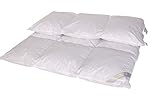 Betten Hofmann Luxus Winter Daunenbett Daunendecke 3x4 155x220 warm 100% Neue can....