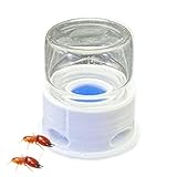 Futterschale für Ameisen, Wasserstation für Bienen, transparent, multifunktional, für...