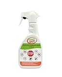 Insect-OUT Universal Ungezieferspray PYR + G - Sofortwirkung - effektiv gegen fliegende...