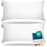 Beautissu Allergiker Kopfkissen 40x80 cm 2er Set – Mikrofaser Steppkissen 450g...