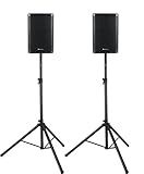 Pronomic C-210 MP 10' Passivbox Stativ Set - 2 Passive 2-Wege Boxen inkl....
