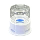 Transparenter Ameisenspender | Tränke für Grillen, Getränkespender, transparent, für...