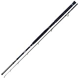 DAM IMAX Boat 7'/2.10M MF 150-450G/XH 30LB 2SEC Bootsrute Meeresrute