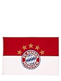 FC Bayern München Hissfahne Logo 180x120cm