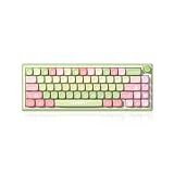 DUSTSILVER D66 Kabellose mechanische Tastatur – 2,4 G/Bluetooth/kabelgebunden, 1000 Hz...