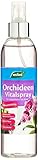 Westland Orchideen Vitalspray, 250 ml – Blattpflege speziell für Orchideen,...