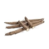 Klettenwurzel | Frische Klettenwurzeln aus biologisch zertifiziertem oder konventionellem...