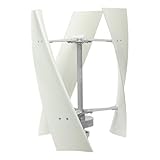 TFIANYNI Windgenerator Vertikal Windkraftanlage 100W, Mit Intelligenten...