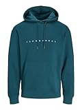 JACK & JONES Male Kapuzenpullover Logo Kapuzenpullover