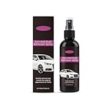 Rostentferner Metall Spray, Rost Entfernen, Rust Remover, Flugrostentferner Auto,...