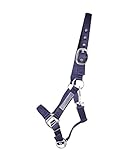ARBO-INOX Halfter Sicherheitshalfter mit Klett 2-Fach verstellbar (Cob Vollblut,...