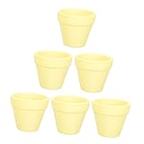 ABOOFAN 6 Stück Mini-Blumentopf Kaktus-Übertopf Hochzeitsvasen Kaktus-Töpfe...
