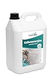 SuperBau Kaliwasserglas 5L (ca.50m²) Vielseitige Anwendung – für Beton Versiegelung,...