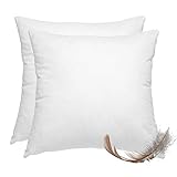 wometo 2er Set Federkissen 100% Federn 40x40 cm - 300g oekoTex Kissen...