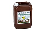 Format 4005666003507 Holzanstrich B.-Carbolin, 10-l-Kanister