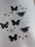 Set mit 33 essbaren Blumen- und Schmetterlings-Cupcakes, Dekoration für Hochzeitstorte,...