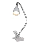 BRILLIANT Lampe Anthony Schreibtischlampe eisen/titan – verstellbare Klemmlampe - LED...