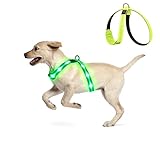 KOSKILL LED Hundegeschirr Wiederaufladbares Beleuchtetes Hundegeschirr Leuchtet...