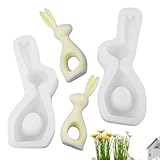 Silikonform für Osterhasen, Kerzenherstellung, Hasen-Harz-Form, 3D-Hase, DIY-Form,...