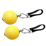 Präsentation des Ballgriffs – 2 x Klettergriffe ohne Rutschen mit Gurt, Powerball,...