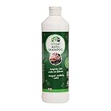 biocar Autoshampoo - effektiv/nachhaltig/umweltfreundlich/biologisch abbaubar/vegan/ohne...