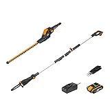 Worx 18V(20V MAX) Akku Teleskop Heckenschere & Hochentaster WG908E, PowerShare, 2,0 Ah,...