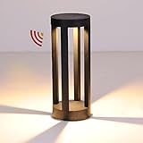 WRMING 15W LED Außen Aussensockelleuchte mit Bewegungsmelder, Outdoor Anthrazit...