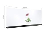 reflecto Schutzwand ‚Curved‘ | bis zu 148 cm breit | Premium Nies- und...