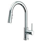 Speakman SB-1042 Neo Küchenarmatur mit herausziehbarem Sprüher, poliertes Chrom