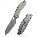FLISSA Klappmesser Taschenmesser mit G10-Griff, Gefaltete Länge 9 cm, Scharfes...