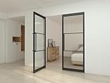 inova Pivot Glastür 1660x2115mm Loft Drehtür schwarz mit Griffstange