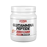 WHY SPORT Glutamin Peptide Zero CARB - Aminosäuren - Nahrungsergänzungsmittel auf Basis...