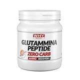 WHY SPORT Glutamin Peptide Zero CARB - Aminosäuren - Nahrungsergänzungsmittel auf Basis...