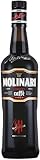 Caffe Molinari Liqueur Liköre (1 x 0.7l) | 700 ml (1er Pack)