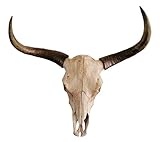 MichaelNoll Stierkopf Bullenkopf Stier Bullenschädel Geweih Hörner Wanddekoration...