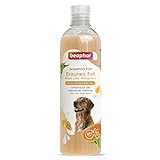 beaphar - Hunde Shampoo für braunes Fell - 250 ml