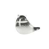 MEETOZ Sturmglas Wettervorhersage, Wassertropfen Wettervorhersage, Barometer Flasche,...