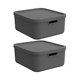 Rotho Albula light 2er-Set Aufbewahrungsbox 20l mit Deckel (Anthrazit)