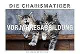 Whiskas Katzenkalender