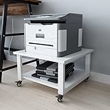 PUNCIA 2-Ebene Druckertisch mit Universalrollen 50 x 50 x 30 cm mobiler Druckerständer...