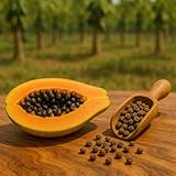 Ganze Papayasamen (Papayakerne) von naturverlesen - keine Hybride, naturbitter -...