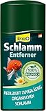 Tetra Pond Schlammentferner - reduziert Schlamm in Gartenteichen, wirkt rein biologisch,...