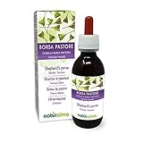 Hirtentäschel (Capsella bursa-pastoris) Kraut Alkoholfreier Urtinktur Naturalma -...