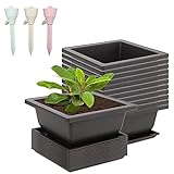 6 Stücke Sukkulenten Töpfe, Klein Kunststoff Blumentopf Bonsaischale Blume...