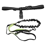 Adjustable Convenient Dog Leash | Reflective Nylon Running Rope with Waist Belt for...