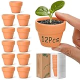 T4U 5cm Terrakotta Sukkulenten Töpfe 12er-Set, Mini Tontöpfe Anzuchttöpfe für Innen-...