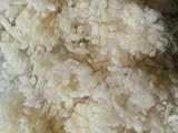 Schurwollkügelchen aus 100 % Schafschurwolle, natur, 500g (37 €/kg) fein,...