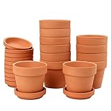 12 Stück Mini Terrakotta Topf 7.9 x 7.4 cm Blumentöpfe Tontöpfe mit Untersetzer und...